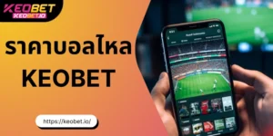 ราคาบอลไหล